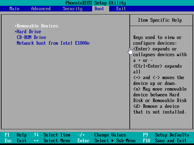 Boot order in the BIOS with Removable Devices first