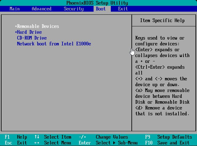 BIOS 启动顺序：将 U 盘（Removable Devices）移至首位